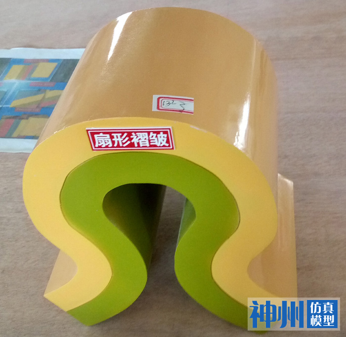 扇型褶皱模型