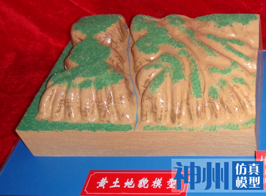 黄土地貌模型